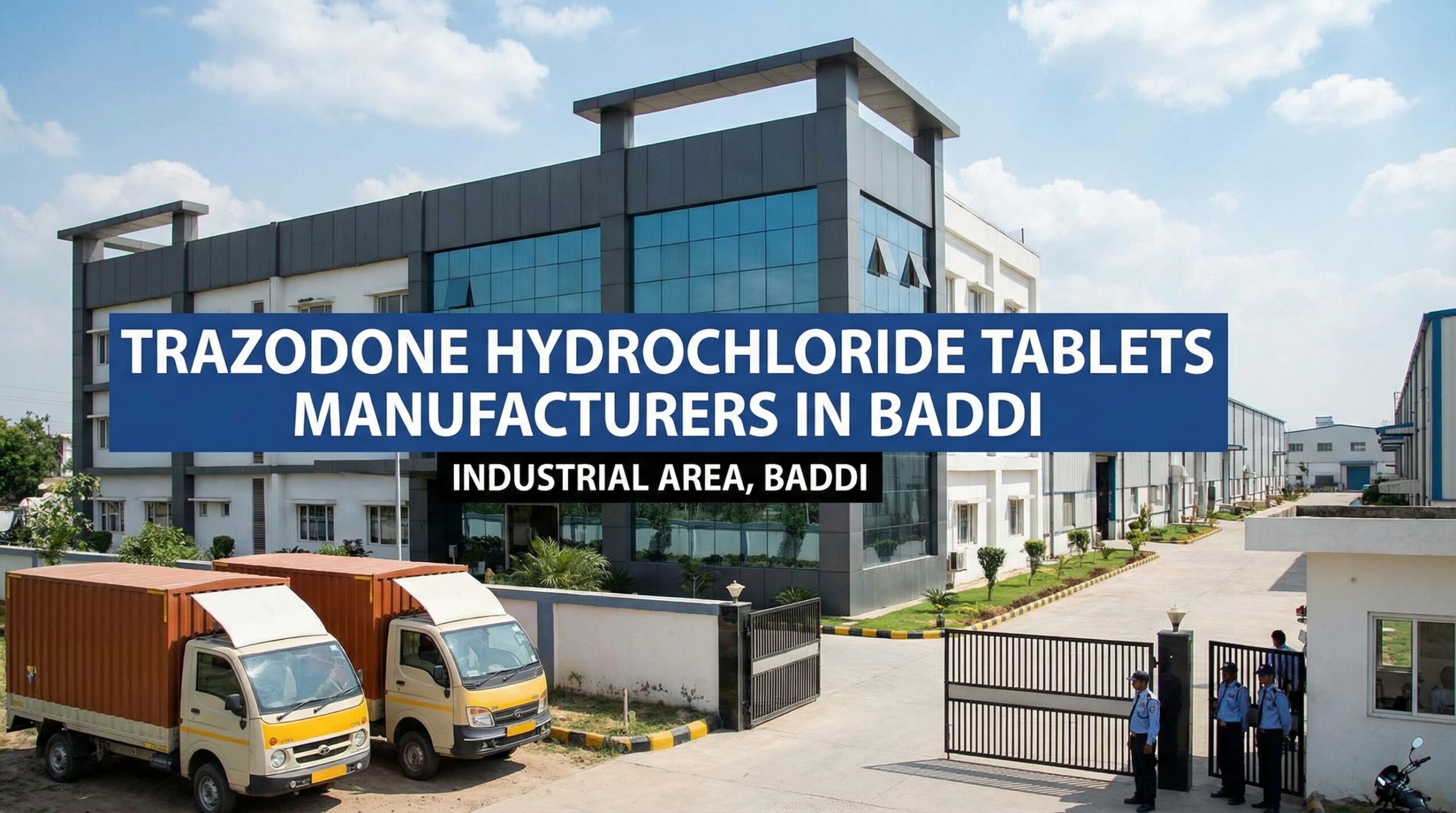 Trazodone Hydrochloride Tablets Manufacturers in Baddi
